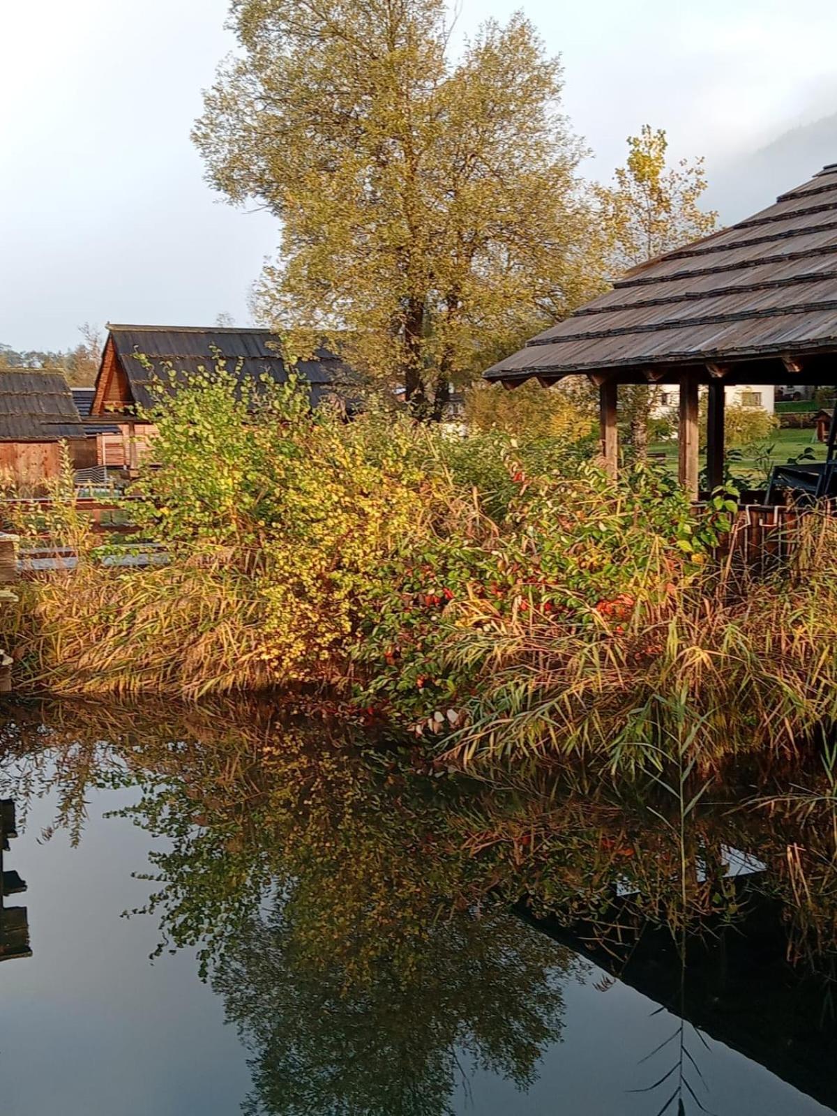 Garten Seeapartments Kaerntnerhof Hundefreundlich Weissensee Exterior foto